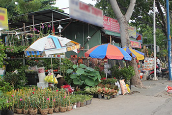 Chợ sinh vật cảnh lớn nhất Sài Gòn